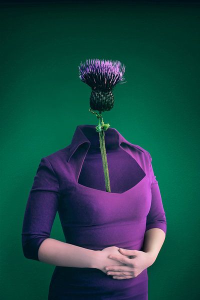 The 'Karen' Archetype in Internet Culture: Gender Stereotypes and Social Perception by Elianne van Turennout