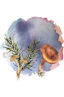 Abstract Wall Art with Blue Watercolour, Mushroom and Rosemary - Digital Print