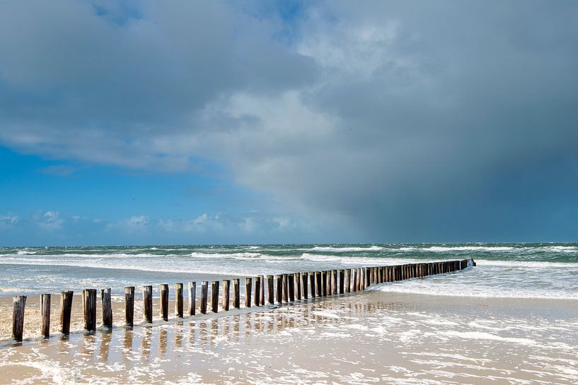 Ameland-Bruchwasser von Richard Gilissen