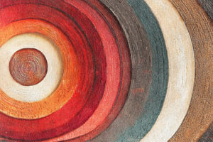 Konzentrische Jahresringe in tiefen Farben