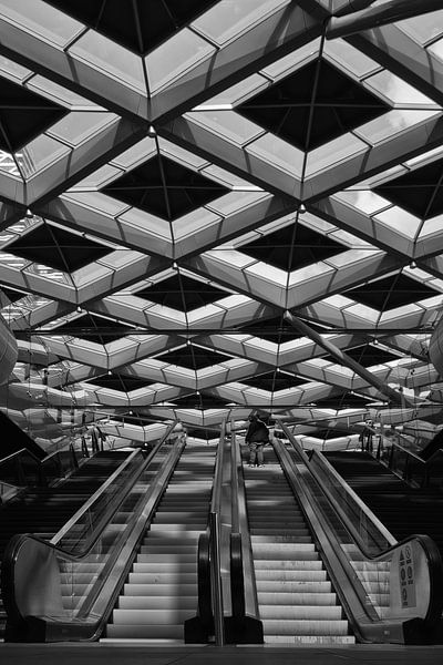 Rolltreppe zum Dach des Hauptbahnhofs Den Haag von Rini Braber