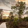 La tourbière noire de la Rhön sur Holger W. Spieker