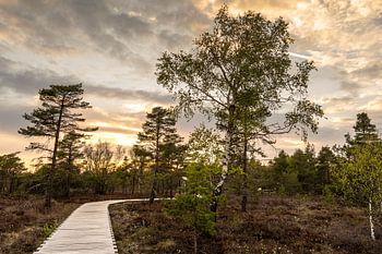 Das Schwarze Moor in der Rhön