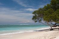 Gili Trawangan beach lombok 1 van Andre Jansen thumbnail