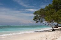 Gili Trawangan beach lombok 1