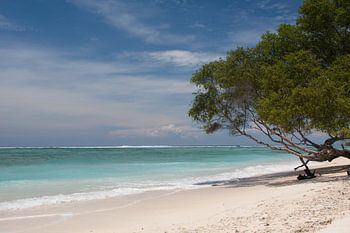 Gili Trawangan Strand Lombok 1
