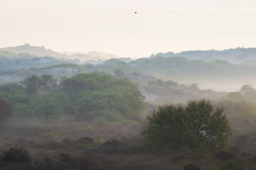 Duinen in mist met bunker