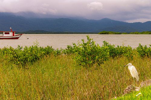 Le voyage silencieux