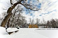 L'hiver à Nienoord par Ron ter Burg Aperçu