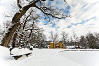 Winter in Nienoord