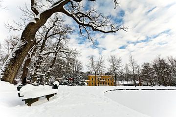 Winter in Nienoord van Ron ter Burg