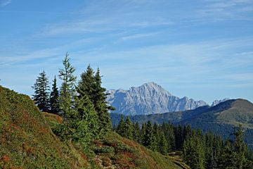 Herfstlandschap op de bergen met uitzicht op de Alpen, de Leoganger Steinbergen van chamois huntress