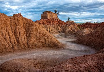 Landschaft rot Tatacoa Wüste von Marcel van Balken