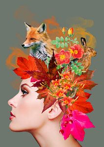 Die Farben des Herbstes