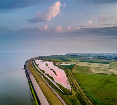 Roze Wagejot 2017 Texel