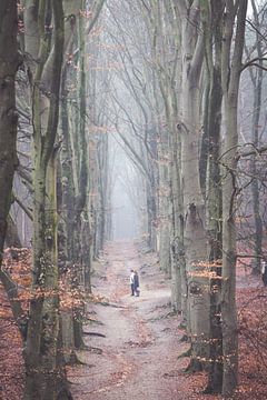 Matin brumeux dans la forêt sur l'Amerongseberg ! sur Peter Haastrecht, van