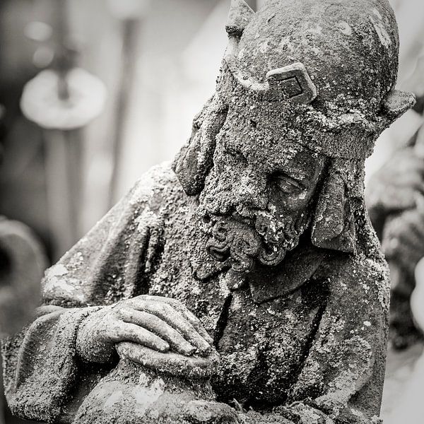 Die Luftbogenstatuen oder -tüllen der St. Johannes-Kathedrale in 's-Hertogenbosch, von Marcel Bakker