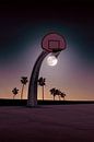 Basketmoon by Jonas Loose thumbnail