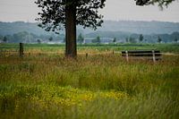 Wageningen Field