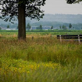 Wageningse Binnenveld van Case Hydell