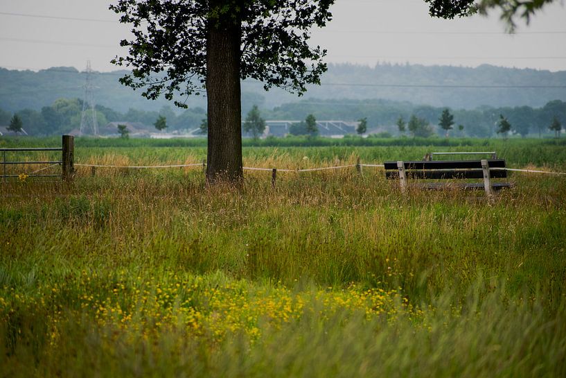 Champ intérieur de Wageningen par Case Hydell