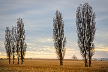 Kleine Toskana in Eyserhalte von Rob Boon