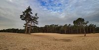 Nature park "De Sahara", Overijssel
