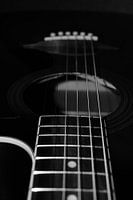 Richwood guitar