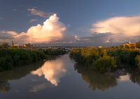 Cordoba