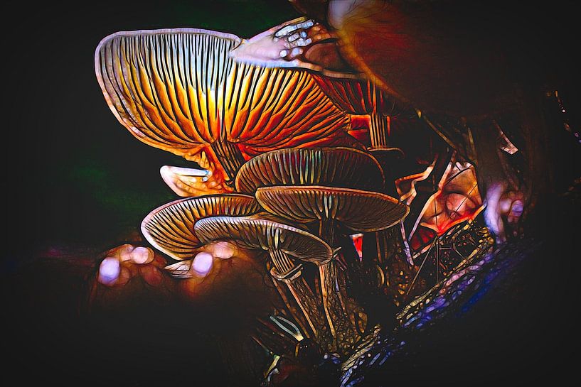 Porcelain fungus by Rob Boon