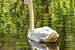 Cygne dans les bois avec image miroir sur Hendrik-Jan Kornelis