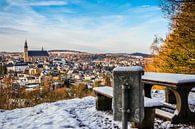 Blick auf die Bergstadt Schneeberg im Erzgebirge von Animaflora PicsStock Miniaturansicht