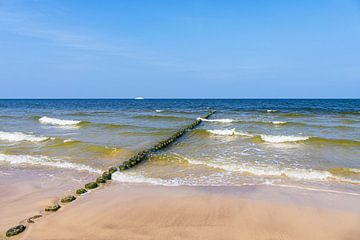 Buhne op het strand van Bansin op het eiland Usedom van Rico Ködder