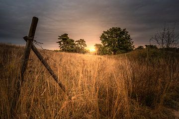 Landschap in Duitsland, akkerrand bij zonsopgang van Fotos by Jan Wehnert