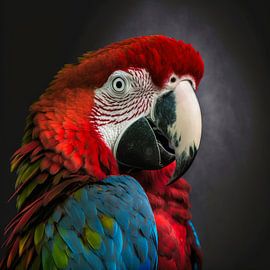 ROTER ARA von Joachim Neumann