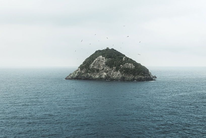 View to the small island of Bergeggi in Liguria and flying seagulls by Besa Art