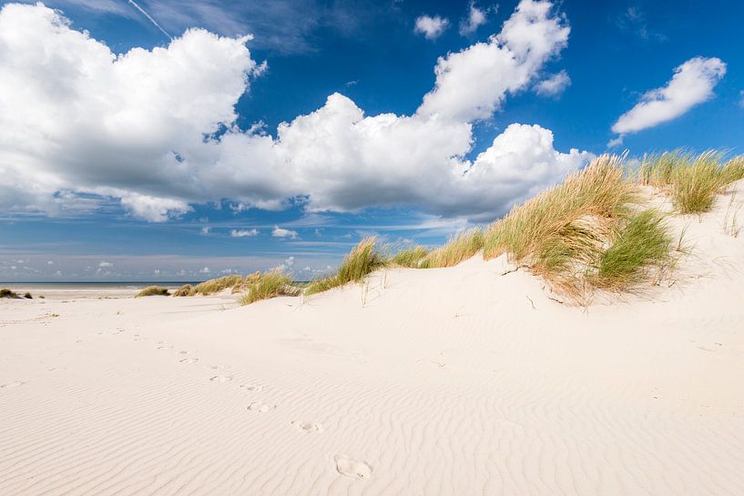 Schritte im Sand von Fotografie Egmond