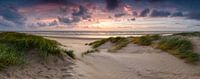 Die Dünen von Bloemendaal aan Zee bei Sonnenuntergang von Emile Kaihatu Miniaturansicht