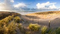 strand en duinen - stormlucht