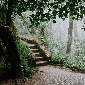 Un escalier au milieu de la nature de Sintra sur Jessica Arends