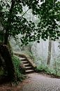 Un escalier au milieu de la nature de Sintra par Jessica Arends Aperçu