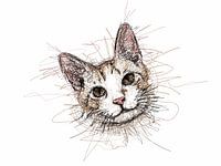 Cat face