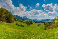 Schildershoek, Allgäu