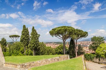 FLORENCE Vue du Fort de Belvédère sur Melanie Viola