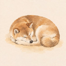 Shiba Inu, der sich zu einem friedlichen Schlaf zusammengerollt hat von Hitomi Art