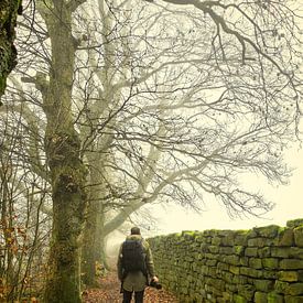 Carsten Lehr Profile picture