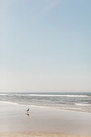 Le silence au bord de la mer sur Nienke van Denderen