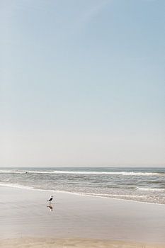 Le silence au bord de la mer