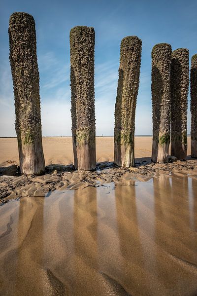 Breakwater at Breskens by Albert Mendelewski