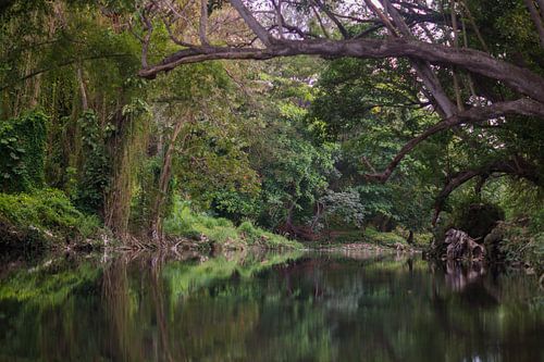 Rivière à Cuba
